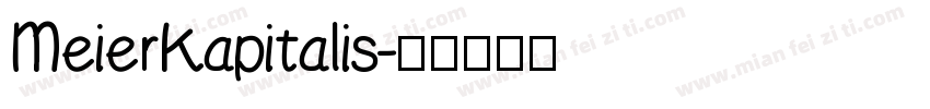 MeierKapitalis字体转换