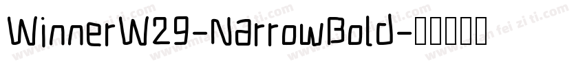 WinnerW29-NarrowBold字体转换