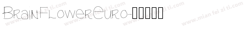 BrainFlowerEuro字体转换