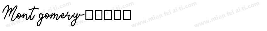Montgomery字体转换