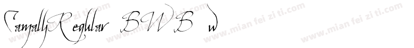 CamalyRegular-BWB0w字体转换