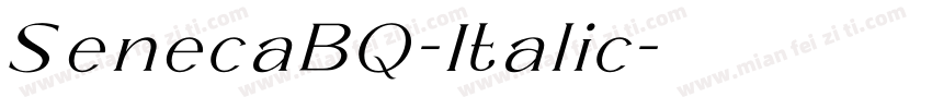 SenecaBQ-Italic字体转换