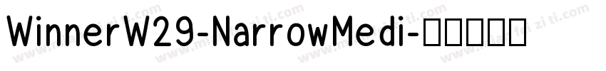WinnerW29-NarrowMedi字体转换