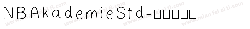 NBAkademieStd字体转换