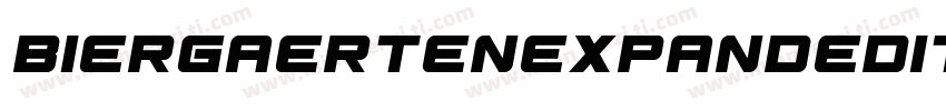 BiergaertenExpandedItalic-J99j字体转换