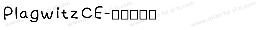 PlagwitzCE字体转换