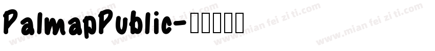 PalmapPublic字体转换