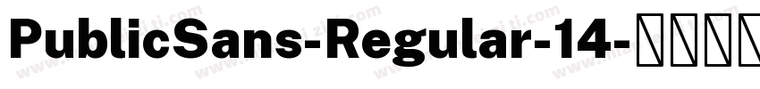 PublicSans-Regular-14字体转换