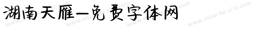 湖南天雁字体转换