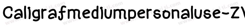 Caligrafmediumpersonaluse-ZVJ6J字体转换
