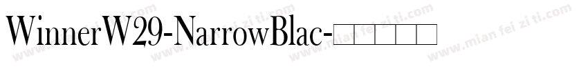 WinnerW29-NarrowBlac字体转换