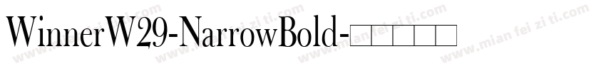 WinnerW29-NarrowBold字体转换