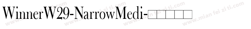 WinnerW29-NarrowMedi字体转换