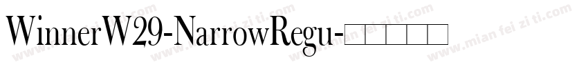 WinnerW29-NarrowRegu字体转换