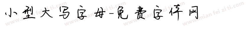 小型大写字母字体转换