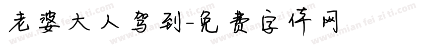 老婆大人驾到字体转换