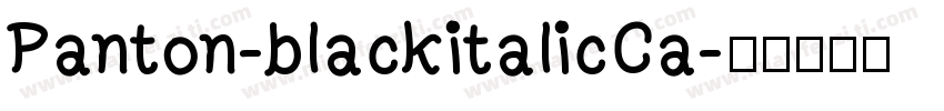 Panton-blackitalicCa字体转换