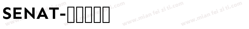 SENAT字体转换