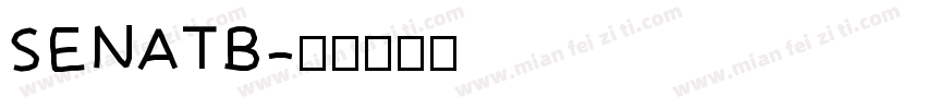 SENATB字体转换