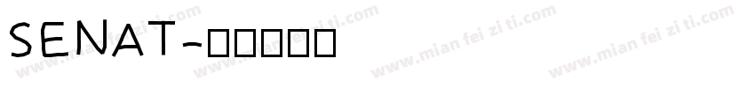 SENAT字体转换