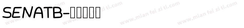 SENATB字体转换