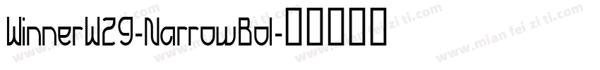 WinnerW29-NarrowBol字体转换