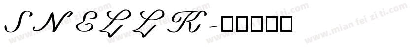 SNELLK字体转换