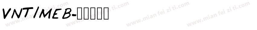 VNTIMEB字体转换