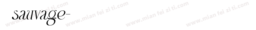 不野sauvage字体转换