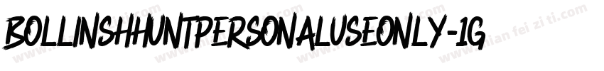BollinshHuntPersonalUseOnly-1GP9Z字体转换