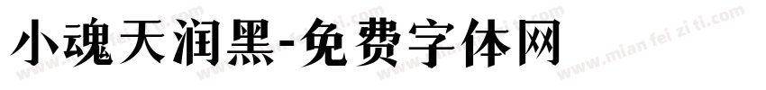 小魂天润黑字体转换