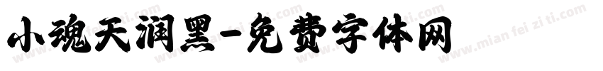小魂天润黑字体转换