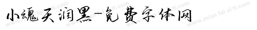 小魂天润黑字体转换