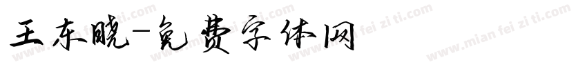 王东晓字体转换