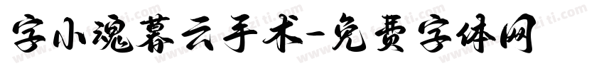 字小魂暮云手术字体转换 字小魂暮云手术字体转换
