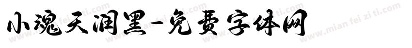 小魂天润黑字体转换