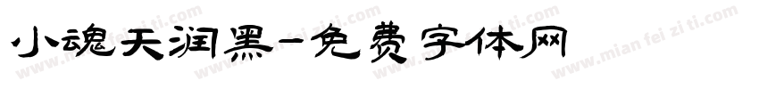 小魂天润黑字体转换