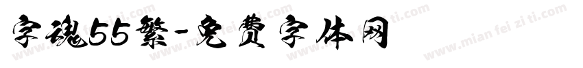 字魂55繁字体转换