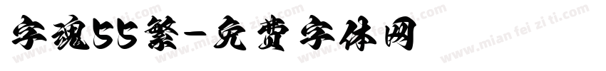 字魂55繁字体转换