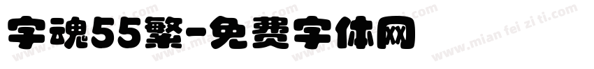 字魂55繁字体转换