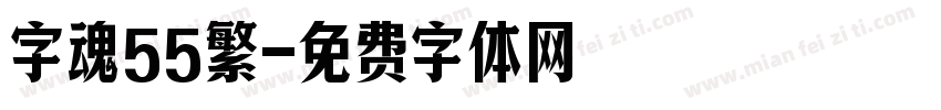 字魂55繁字体转换