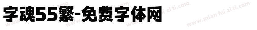 字魂55繁字体转换