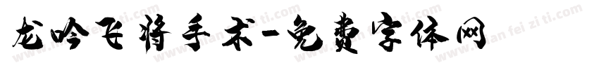 龙吟飞将手术字体转换