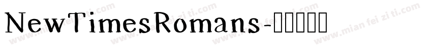 NewTimesRomans字体转换