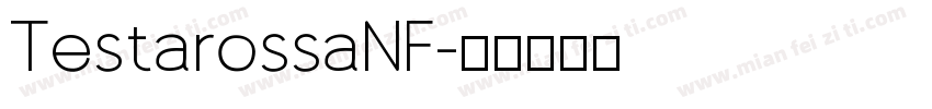 TestarossaNF字体转换
