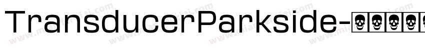 TransducerParkside字体转换