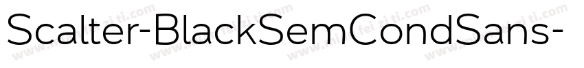 Scalter-BlackSemCondSans字体转换