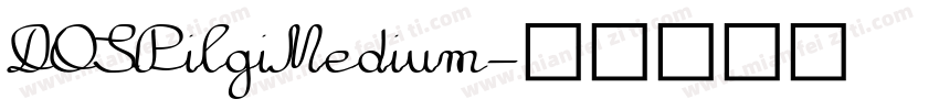 DOSPilgiMedium字体转换