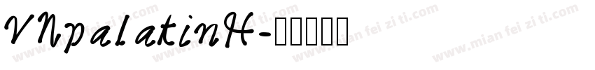 VNpalatinH字体转换