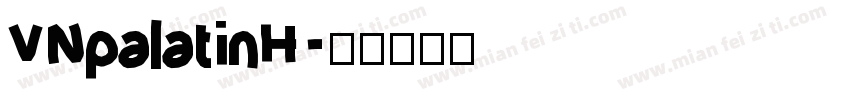 VNpalatinH字体转换